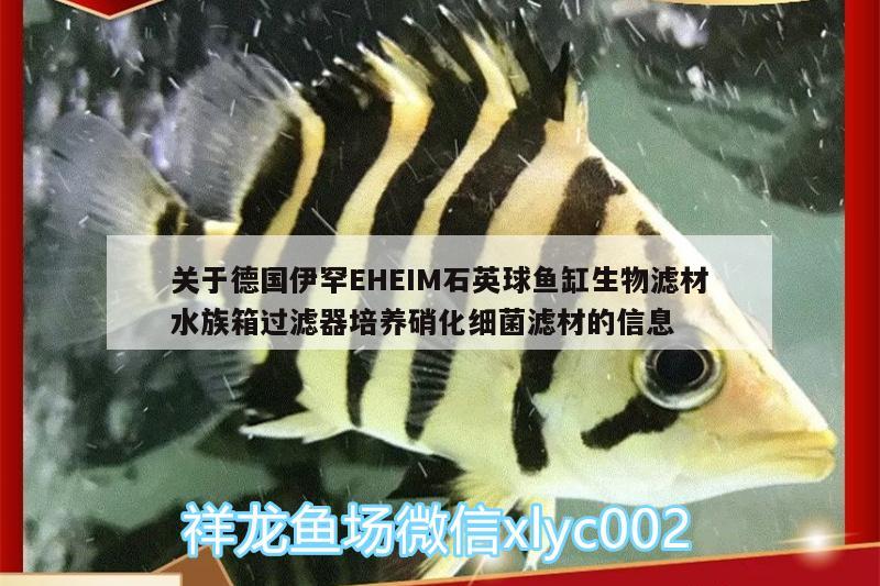 关于德国伊罕EHEIM石英球鱼缸生物滤材水族箱过滤器培养硝化细菌滤材的信息