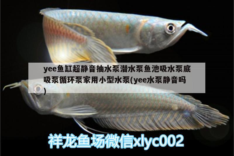 yee鱼缸超静音抽水泵潜水泵鱼池吸水泵底吸泵循环泵家用小型水泵(yee水泵静音吗) yee