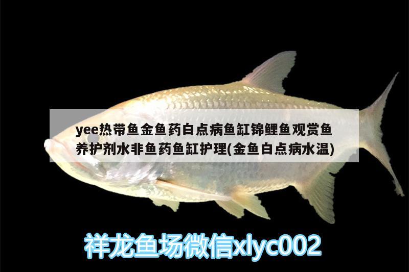 yee热带鱼金鱼药白点病鱼缸锦鲤鱼观赏鱼养护剂水非鱼药鱼缸护理(金鱼白点病水温) yee