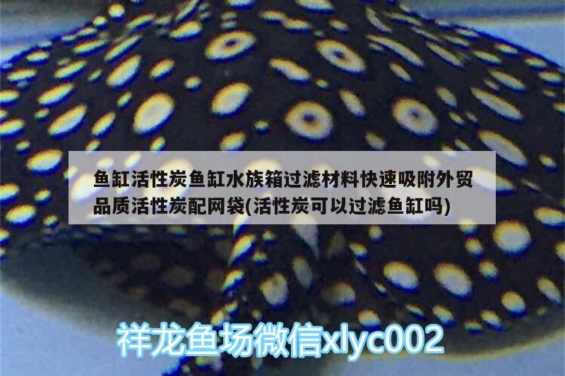 鱼缸活性炭鱼缸水族箱过滤材料快速吸附外贸品质活性炭配网袋(活性炭可以过滤鱼缸吗)