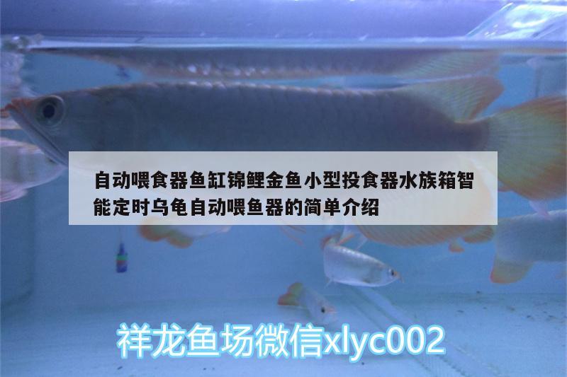 自动喂食器鱼缸锦鲤金鱼小型投食器水族箱智能定时乌龟自动喂鱼器的简单介绍