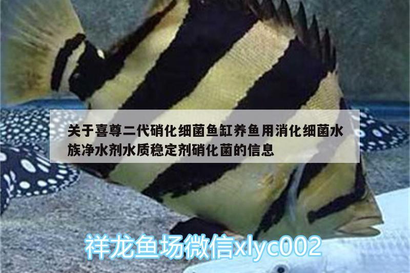 关于喜尊二代硝化细菌鱼缸养鱼用消化细菌水族净水剂水质稳定剂硝化菌的信息 硝化细菌