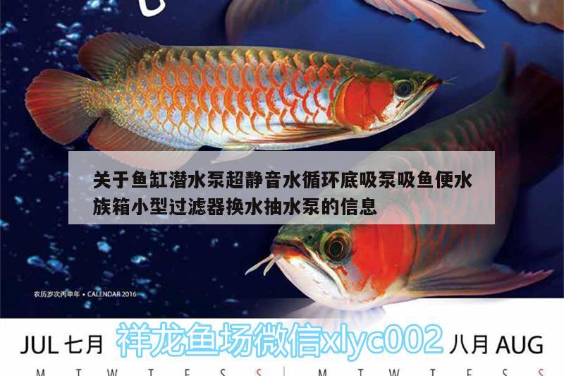 关于鱼缸潜水泵超静音水循环底吸泵吸鱼便水族箱小型过滤器换水抽水泵的信息 鱼缸/水族箱