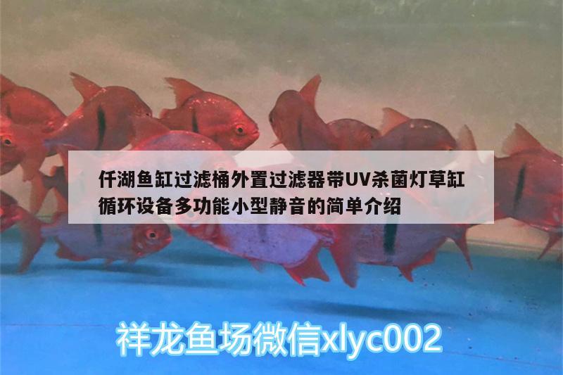 仟湖鱼缸过滤桶外置过滤器带UV杀菌灯草缸循环设备多功能小型静音的简单介绍