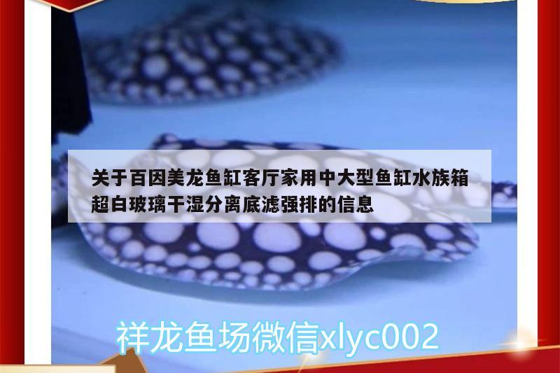 关于百因美龙鱼缸客厅家用中大型鱼缸水族箱超白玻璃干湿分离底滤强排的信息 鱼缸/水族箱