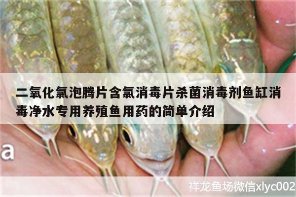 二氧化氯泡腾片含氯消毒片杀菌消毒剂鱼缸消毒净水专用养殖鱼用药的简单介绍