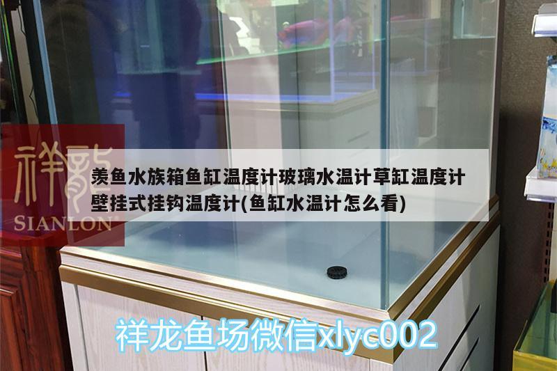 羡鱼水族箱鱼缸温度计玻璃水温计草缸温度计壁挂式挂钩温度计(鱼缸水温计怎么看)