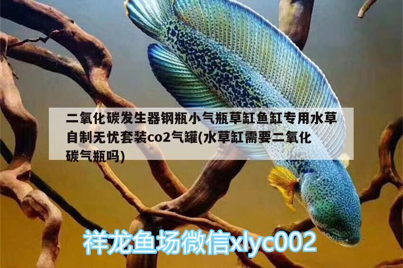 二氧化碳发生器钢瓶小气瓶草缸鱼缸专用水草自制无忧套装co2气罐(水草缸需要二氧化碳气瓶吗) 二氧化碳设备