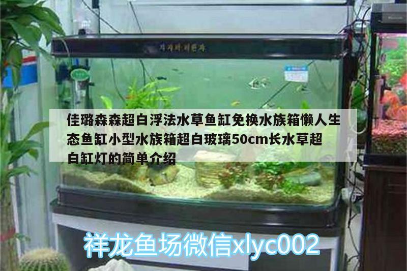 佳璐森森超白浮法水草鱼缸免换水族箱懒人生态鱼缸小型水族箱超白玻璃50cm长水草超白缸灯的简单介绍