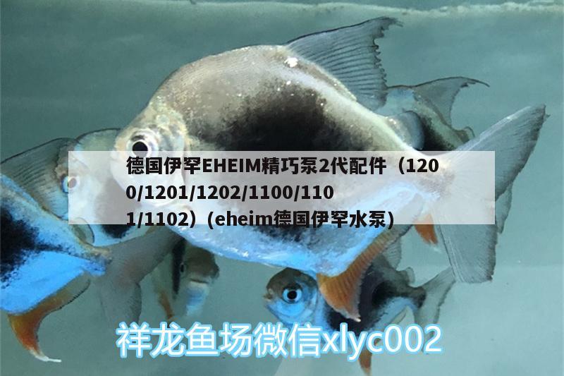 德国伊罕EHEIM精巧泵2代配件（1200/1201/1202/1100/1101/1102）(eheim德国伊罕水泵)