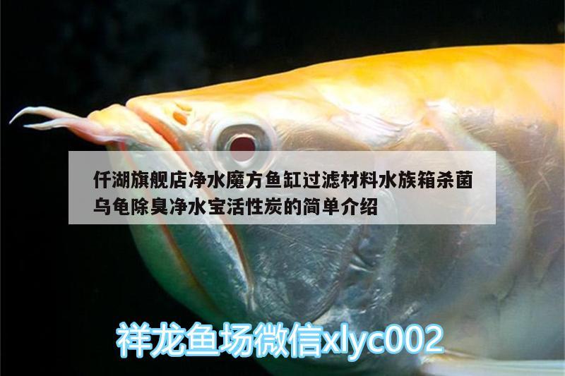 仟湖旗舰店净水魔方鱼缸过滤材料水族箱杀菌乌龟除臭净水宝活性炭的简单介绍 乌龟