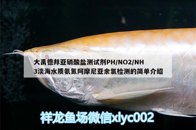 大禹德邦亚硝酸盐测试剂PH/NO2/NH3淡海水质氨氮阿摩尼亚余氯检测的简单介绍 广州水族器材滤材批发市场