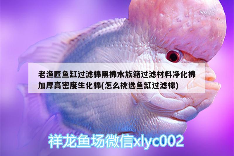 老渔匠鱼缸过滤棉黑棉水族箱过滤材料净化棉加厚高密度生化棉(怎么挑选鱼缸过滤棉) 鱼缸/水族箱