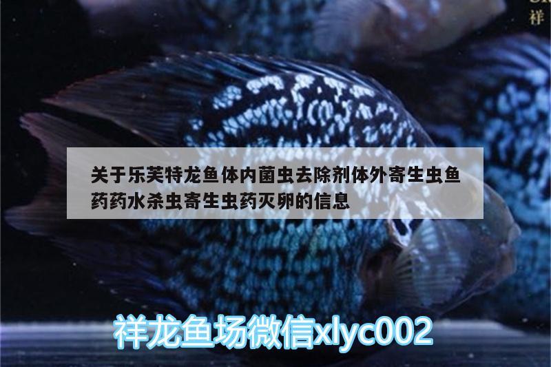 关于乐芙特龙鱼体内菌虫去除剂体外寄生虫鱼药药水杀虫寄生虫药灭卵的信息 广州水族器材滤材批发市场