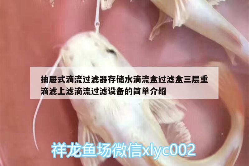 抽屉式滴流过滤器存储水滴流盒过滤盒三层重滴滤上滤滴流过滤设备的简单介绍