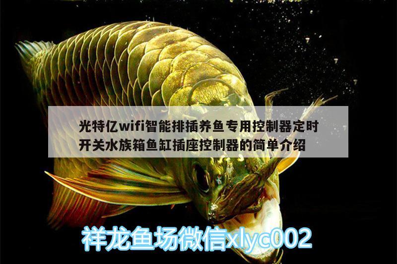 光特亿wifi智能排插养鱼专用控制器定时开关水族箱鱼缸插座控制器的简单介绍