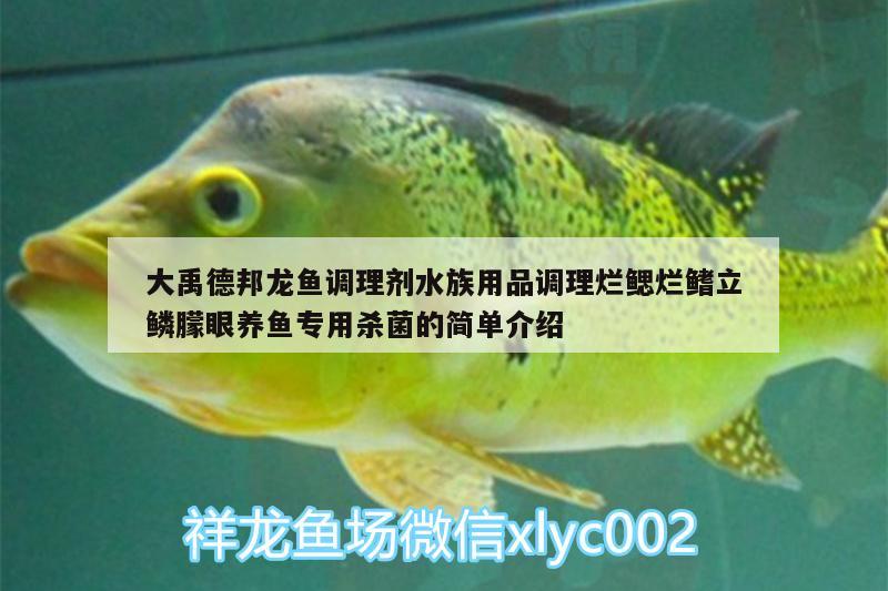 大禹德邦龙鱼调理剂水族用品调理烂鳃烂鳍立鳞朦眼养鱼专用杀菌的简单介绍 水族用品