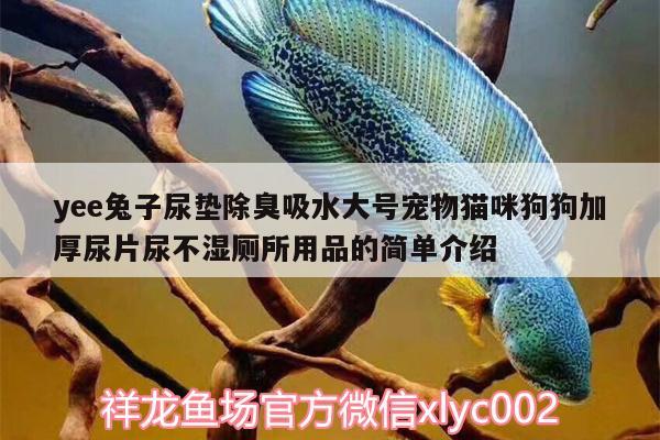 yee兔子尿垫除臭吸水大号宠物猫咪狗狗加厚尿片尿不湿厕所用品的简单介绍 yee