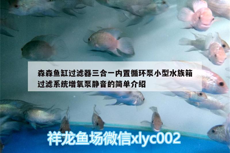 森森鱼缸过滤器三合一内置循环泵小型水族箱过滤系统增氧泵静音的简单介绍