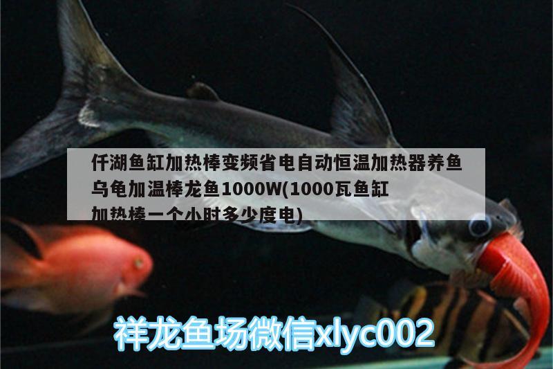 仟湖鱼缸加热棒变频省电自动恒温加热器养鱼乌龟加温棒龙鱼1000W(1000瓦鱼缸加热棒一个小时多少度电)