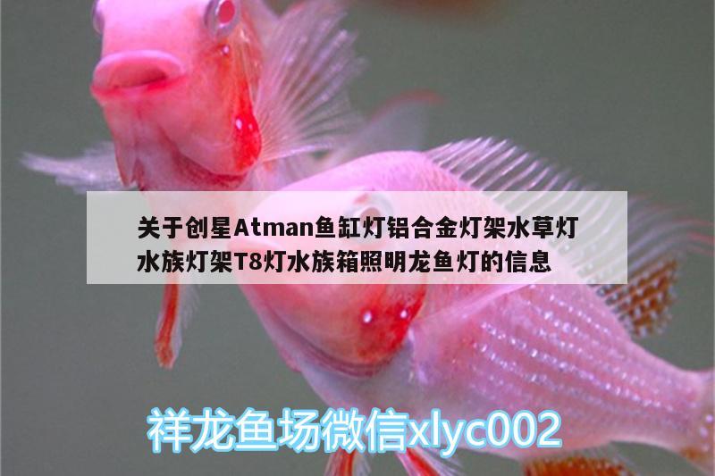 关于创星Atman鱼缸灯铝合金灯架水草灯水族灯架T8灯水族箱照明龙鱼灯的信息 鱼缸/水族箱