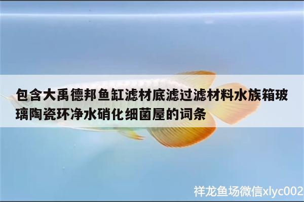 包含大禹德邦鱼缸滤材底滤过滤材料水族箱玻璃陶瓷环净水硝化细菌屋的词条 硝化细菌