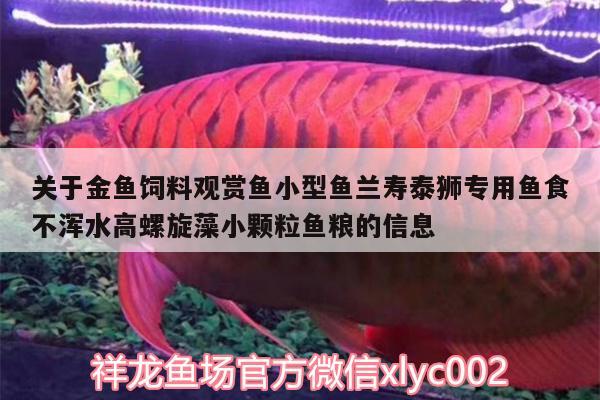 关于金鱼饲料观赏鱼小型鱼兰寿泰狮专用鱼食不浑水高螺旋藻小颗粒鱼粮的信息