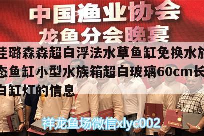 关于佳璐森森超白浮法水草鱼缸免换水族箱懒人生态鱼缸小型水族箱超白玻璃60cm长水草超白缸灯的信息