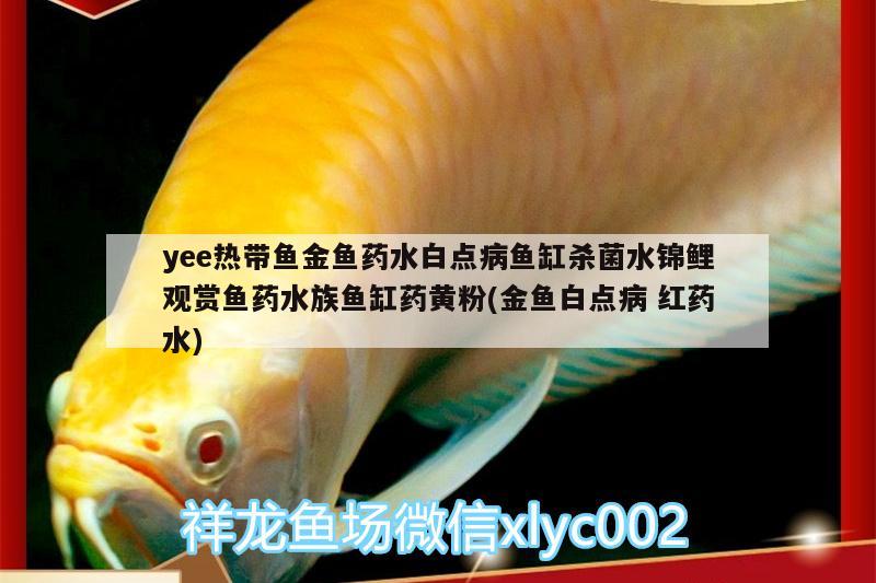 yee热带鱼金鱼药水白点病鱼缸杀菌水锦鲤观赏鱼药水族鱼缸药黄粉(金鱼白点病红药水)