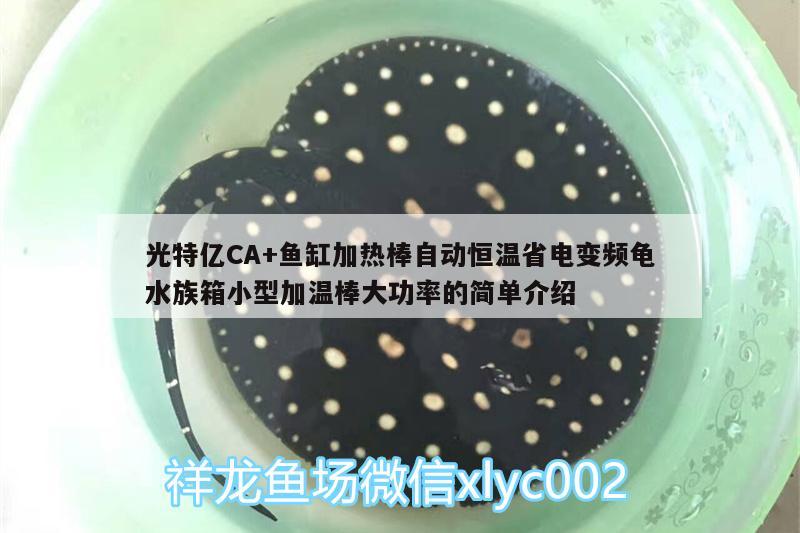 光特亿CA+鱼缸加热棒自动恒温省电变频龟水族箱小型加温棒大功率的简单介绍