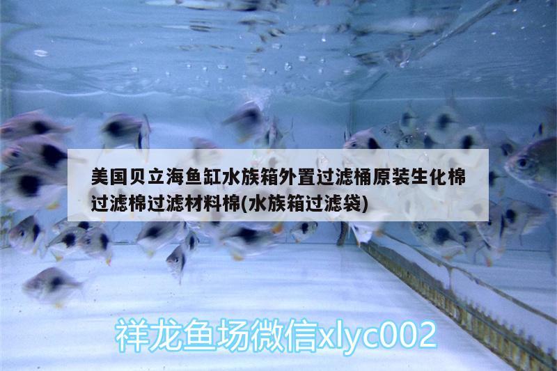 美国贝立海鱼缸水族箱外置过滤桶原装生化棉过滤棉过滤材料棉(水族箱过滤袋)