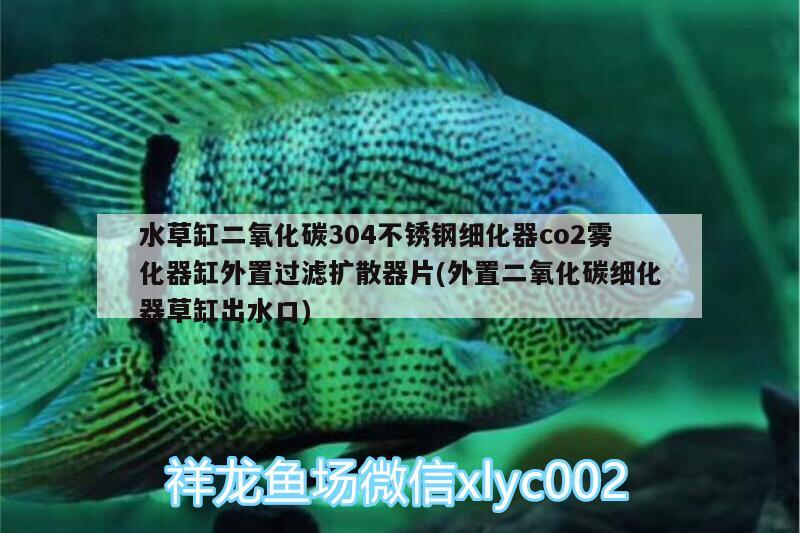 水草缸二氧化碳304不锈钢细化器co2雾化器缸外置过滤扩散器片(外置二氧化碳细化器草缸出水口)