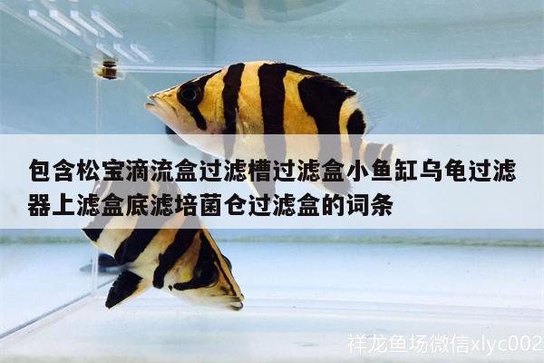 包含松宝滴流盒过滤槽过滤盒小鱼缸乌龟过滤器上滤盒底滤培菌仓过滤盒的词条