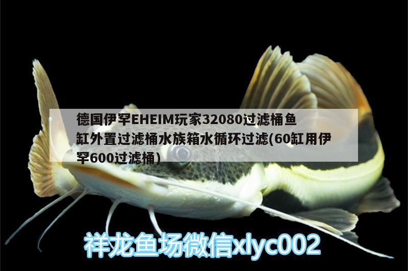 德国伊罕EHEIM玩家32080过滤桶鱼缸外置过滤桶水族箱水循环过滤(60缸用伊罕600过滤桶) 伊罕水族