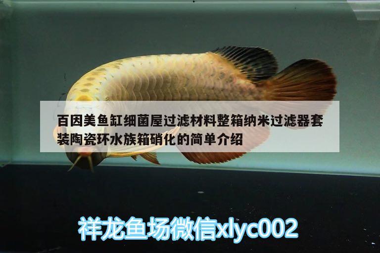 百因美鱼缸细菌屋过滤材料整箱纳米过滤器套装陶瓷环水族箱硝化的简单介绍 鱼缸/水族箱