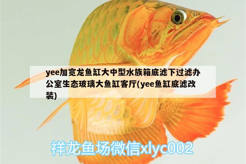 yee加宽龙鱼缸大中型水族箱底滤下过滤办公室生态玻璃大鱼缸客厅(yee鱼缸底滤改装) yee