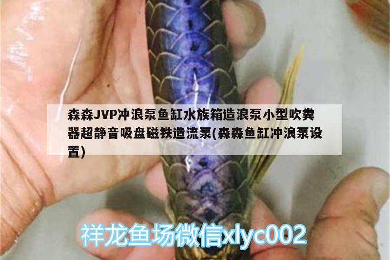 森森JVP冲浪泵鱼缸水族箱造浪泵小型吹粪器超静音吸盘磁铁造流泵(森森鱼缸冲浪泵设置)