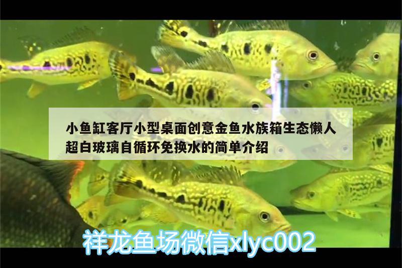 小鱼缸客厅小型桌面创意金鱼水族箱生态懒人超白玻璃自循环免换水的简单介绍 鱼缸/水族箱