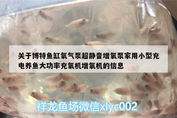 关于博特鱼缸氧气泵超静音增氧泵家用小型充电养鱼大功率充氧机增氧机的信息