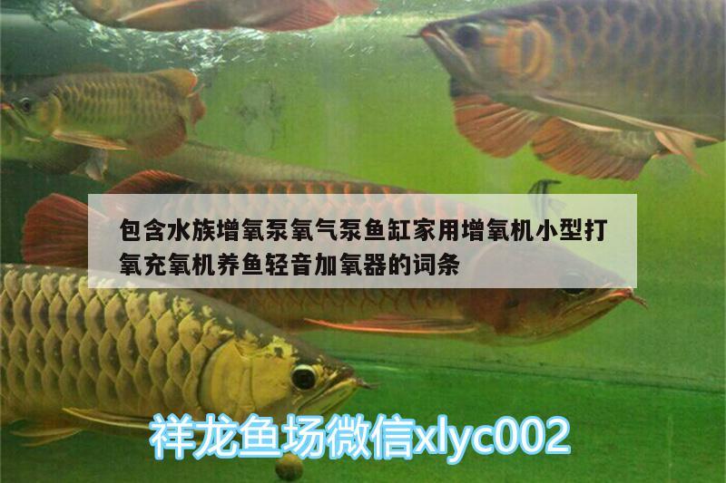 包含水族增氧泵氧气泵鱼缸家用增氧机小型打氧充氧机养鱼轻音加氧器的词条 广州水族器材滤材批发市场