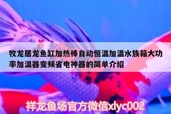 牧龙居龙鱼缸加热棒自动恒温加温水族箱大功率加温器变频省电神器的简单介绍 鱼缸/水族箱