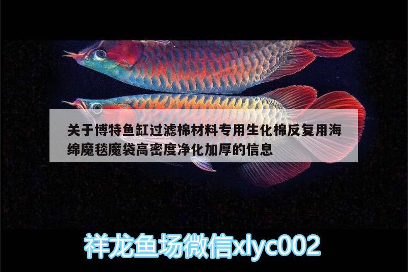 关于博特鱼缸过滤棉材料专用生化棉反复用海绵魔毯魔袋高密度净化加厚的信息