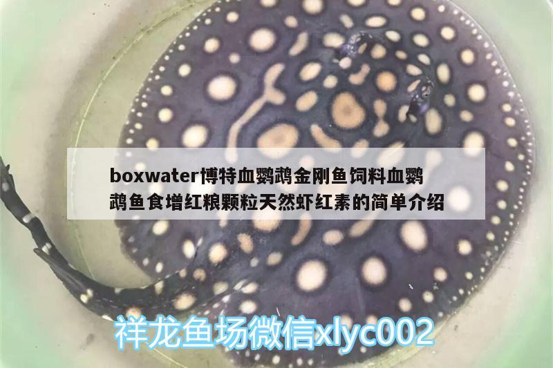 boxwater博特血鹦鹉金刚鱼饲料血鹦鹉鱼食增红粮颗粒天然虾红素的简单介绍