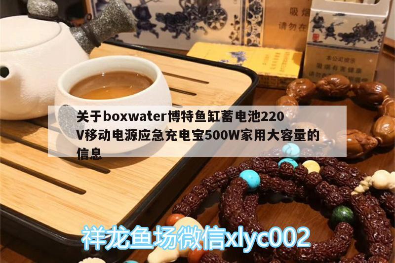 关于boxwater博特鱼缸蓄电池220V移动电源应急充电宝500W家用大容量的信息