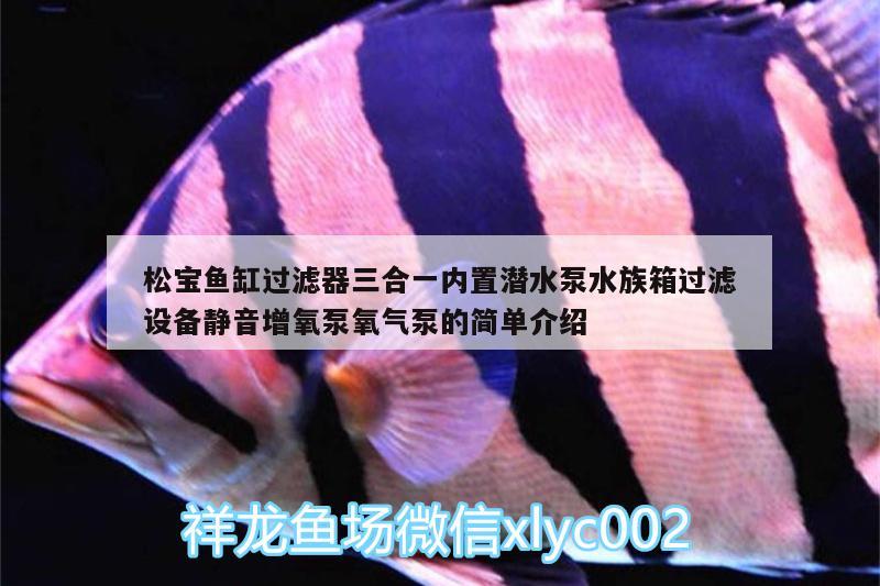 松宝鱼缸过滤器三合一内置潜水泵水族箱过滤设备静音增氧泵氧气泵的简单介绍 鱼缸/水族箱