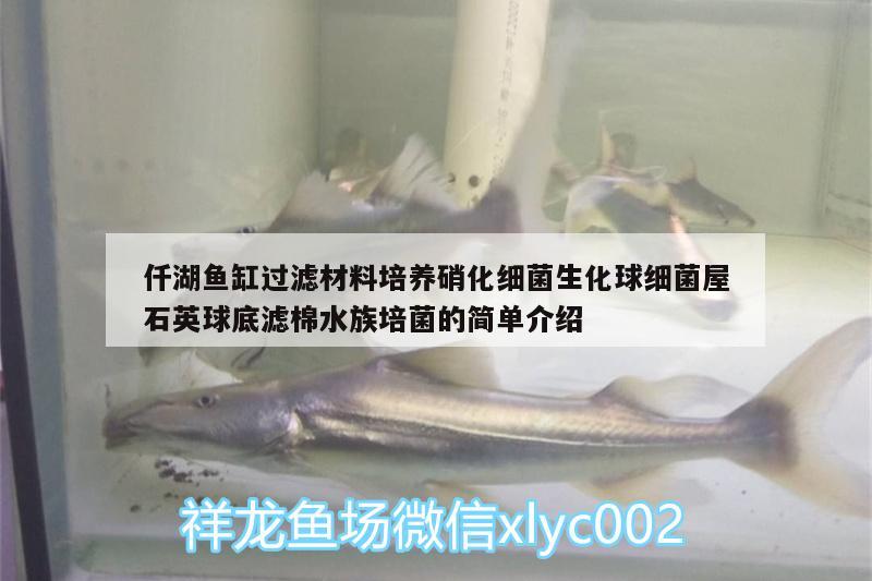 仟湖鱼缸过滤材料培养硝化细菌生化球细菌屋石英球底滤棉水族培菌的简单介绍