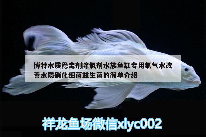 博特水质稳定剂除氯剂水族鱼缸专用氯气水改善水质硝化细菌益生菌的简单介绍