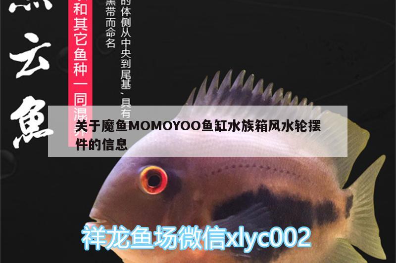 关于魔鱼MOMOYOO鱼缸水族箱风水轮摆件的信息