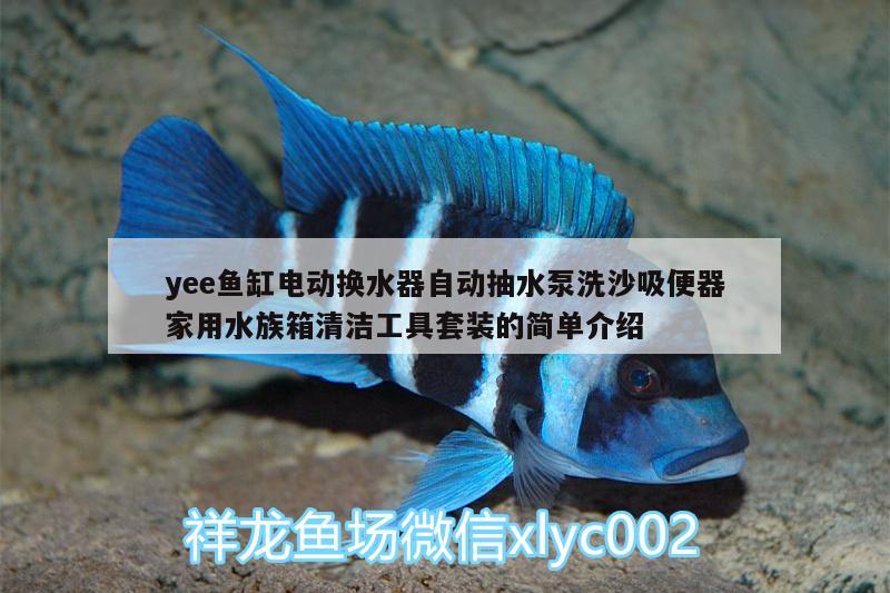 yee鱼缸电动换水器自动抽水泵洗沙吸便器家用水族箱清洁工具套装的简单介绍