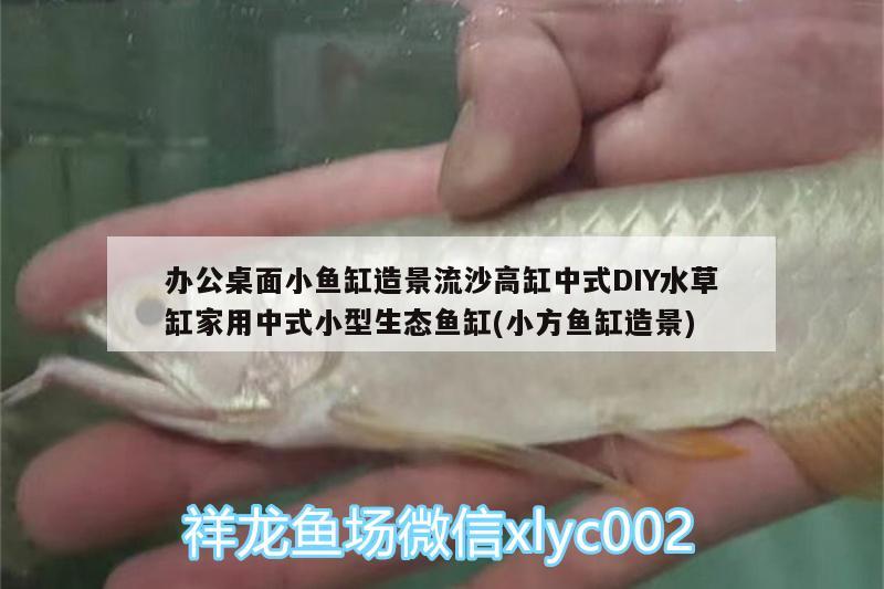 办公桌面小鱼缸造景流沙高缸中式DIY水草缸家用中式小型生态鱼缸(小方鱼缸造景)